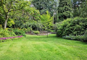 Optimiser l'expérience du jardin à Cressia