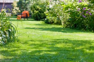 travaux jardin et paysage Cressia